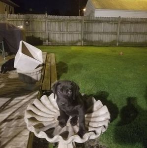 Meet your Posher, Christopher